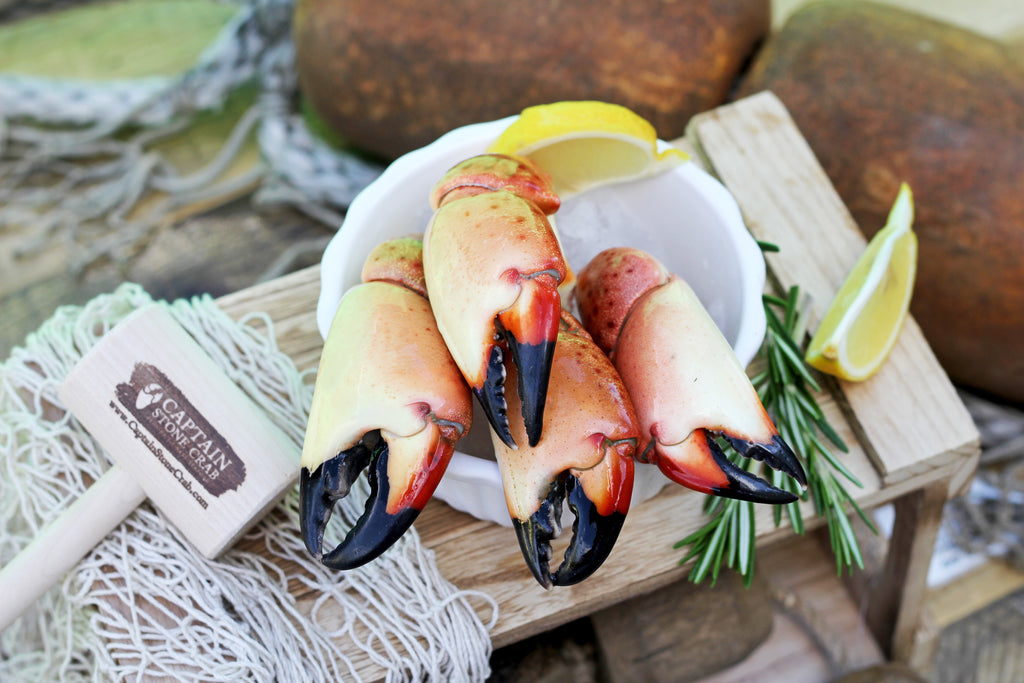 Why Florida Stone Crabs Are Such Sustainable Eating