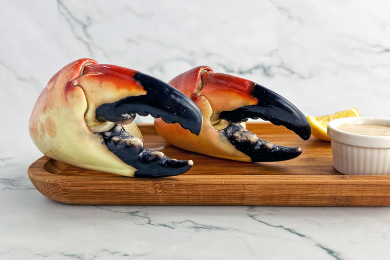 Stone Crab Claw Sizes Guide Captain Stone Crab